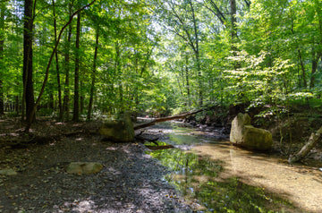 Shale Hollow Park