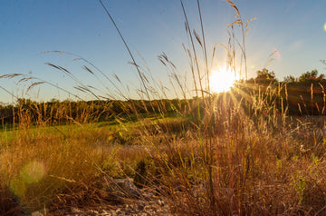 Battelle Darby Creek