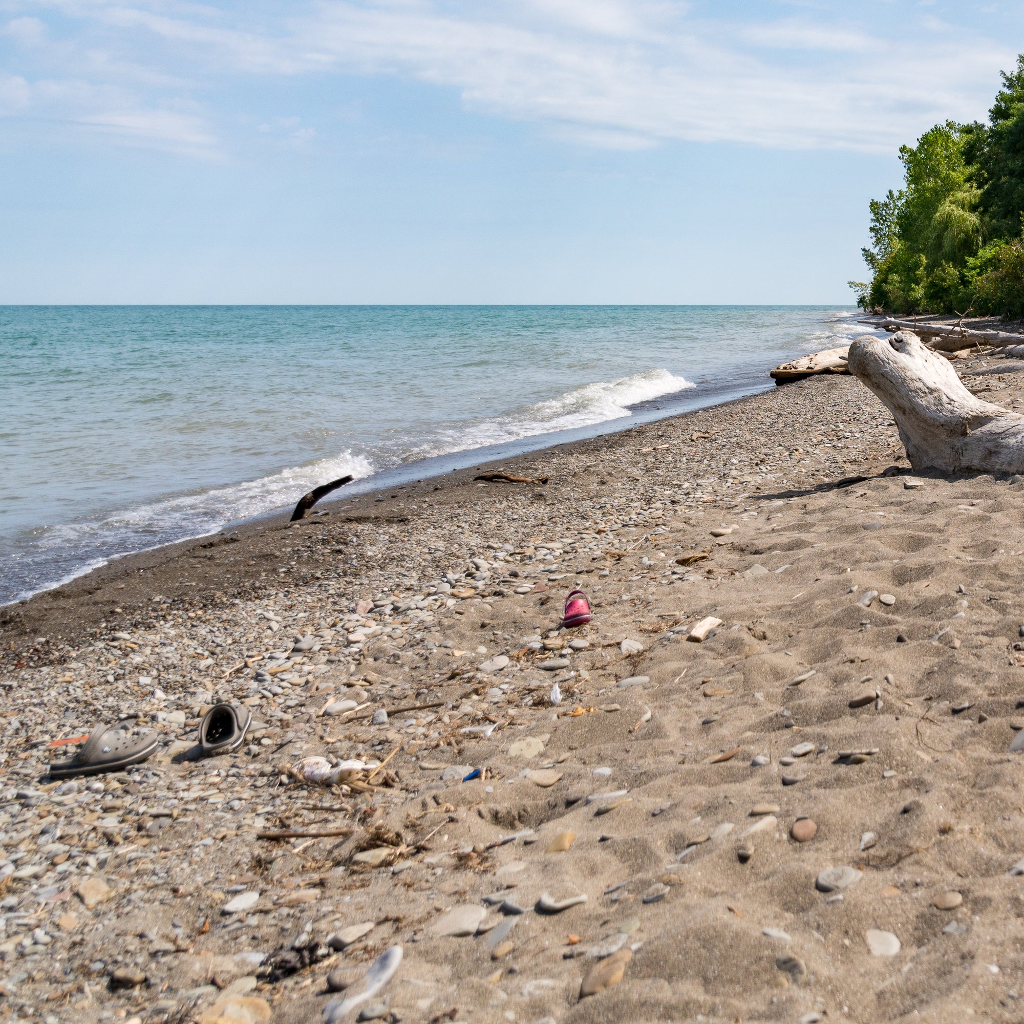 Lake Erie Bluff-Lake Metro Park
