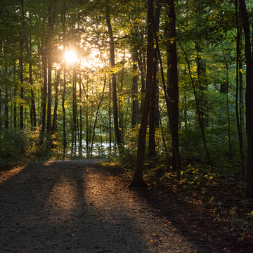 Hike 26 of 52-Emily Traphagen Park