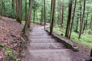 Stone staircase leading down to Cedar Falls in Hocking Hill State park in Ohio